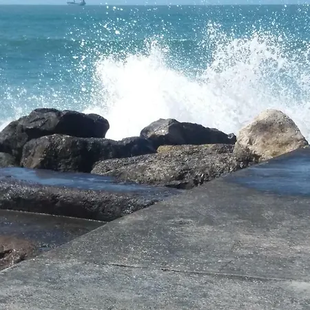 Vista Para O Mar *